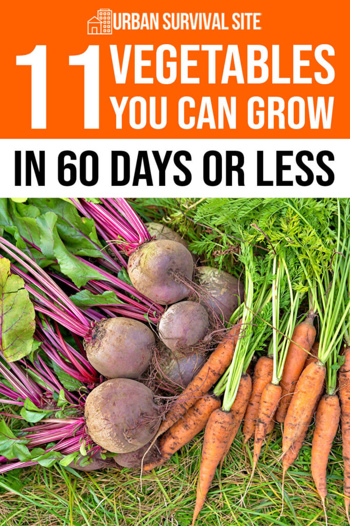 11 Vegetables You Can Grow In 60 Days Or Less