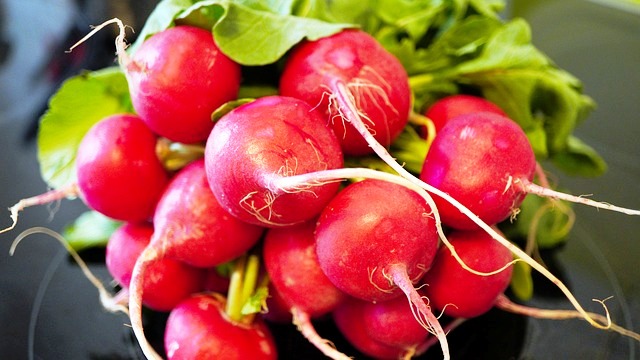 RADISHES