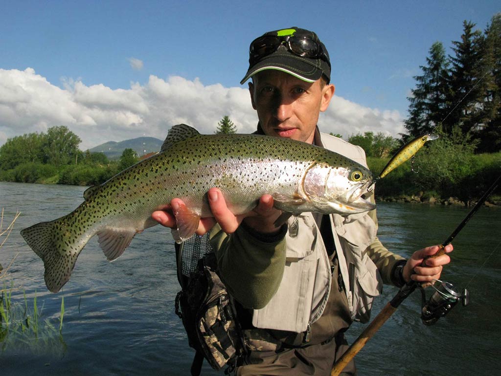 A man in a baseball cap standing next to a river in Duluth, MN, and holding a Rainbow Trout with one hand towards the camera, with a lure sticking out of the fish's mouth