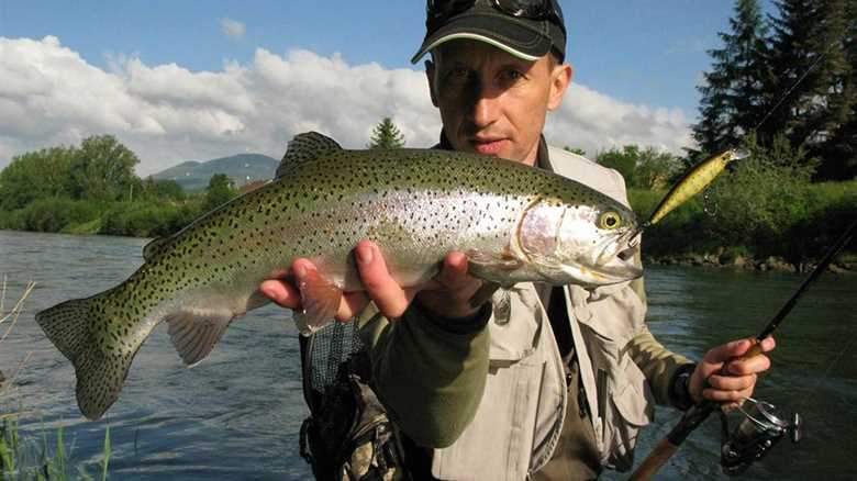 Best Trout Lures: A Beginner’s Guide for 2024