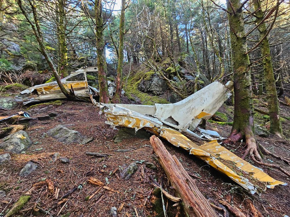 Black Mountain Crest plane crash