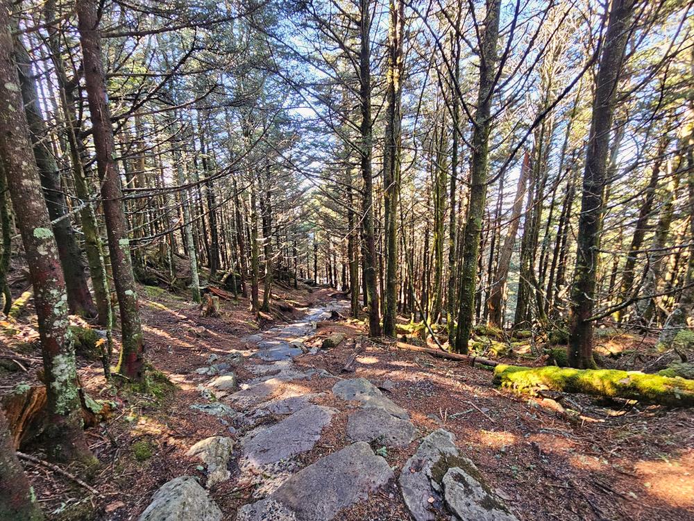 Black Mountain Crest Trail