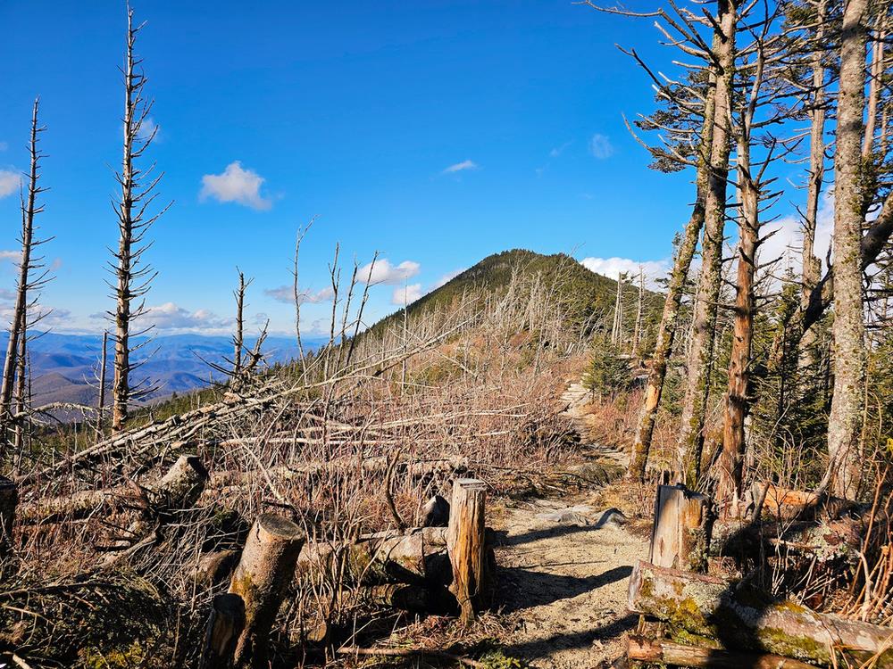 Black Mountain Crest Trail