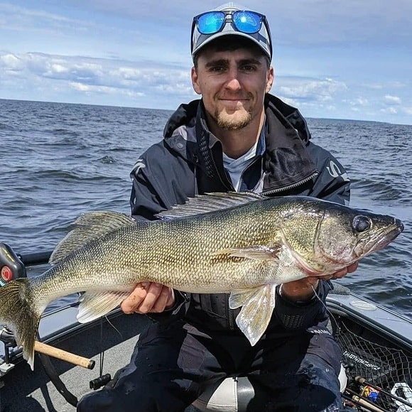 Study Finds Walleye Appear to Be Struggling with Rapid Climate Change