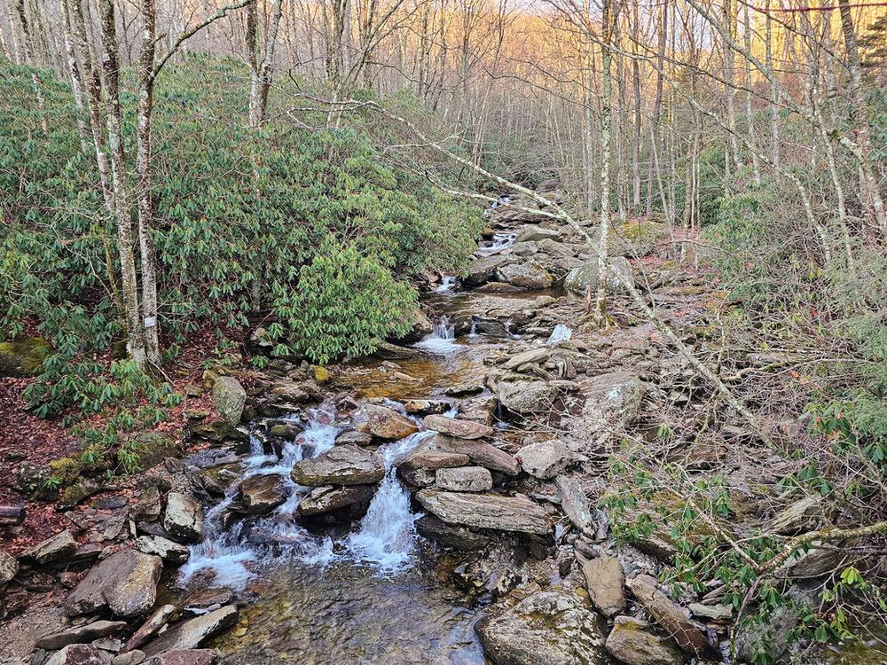 Grandfather Mountain hiking trail