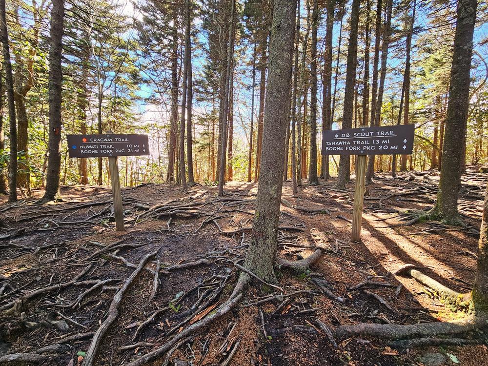 Grandfather Mountain hiking trail