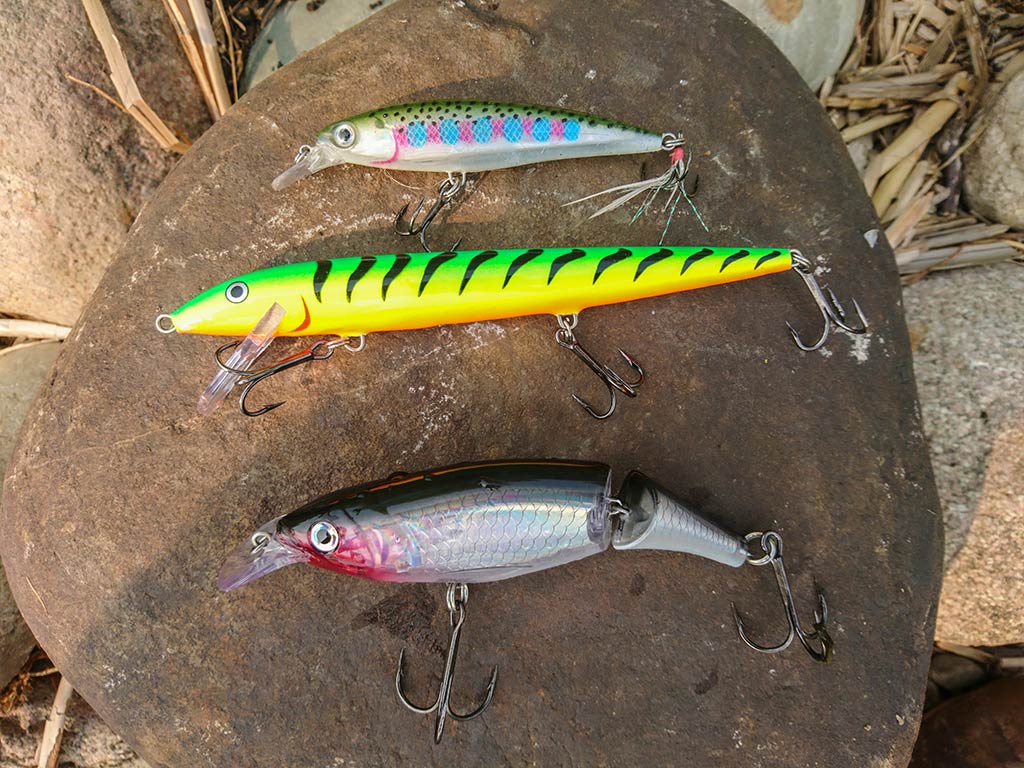 Three colorful jerkbaits laid out on a rock, ready to be used in saltwater fishing