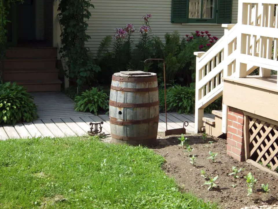 RAIN BARREL IN GARDEN