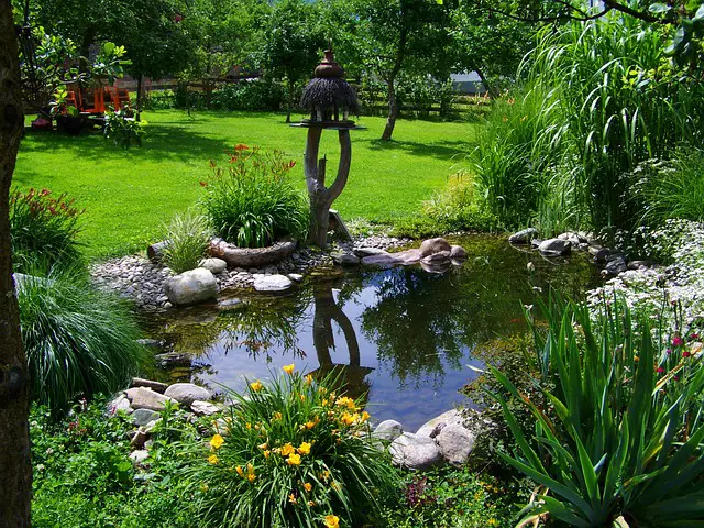 POND IN GARDEN