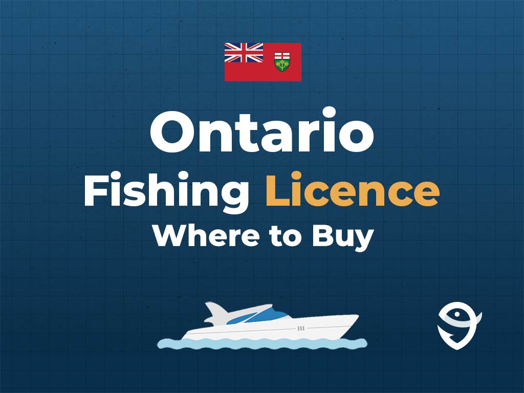 Can infographic featuring the Ontario flag above a text that says "Ontario fishing licence, where to buy" and with an illustration of a boat underneath
