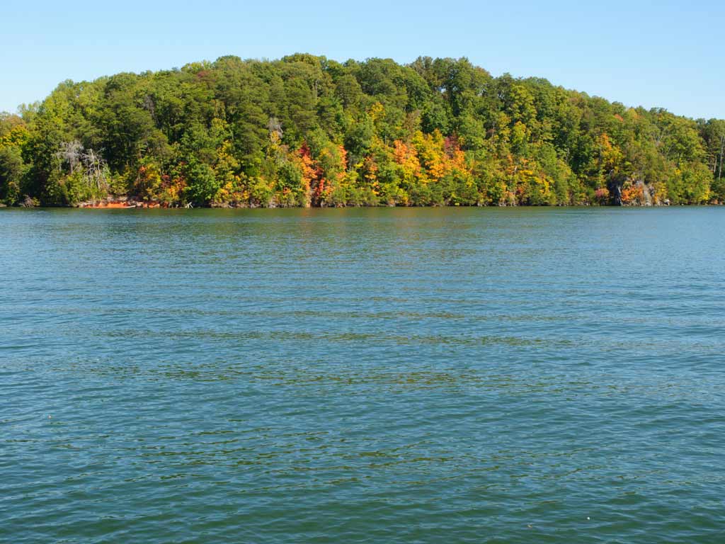 A view of the Fort Loudoun Reservoir, one of the best spring fishing destinations in Tennessee, with a thick forest is visible along the lake's shore in the distance.