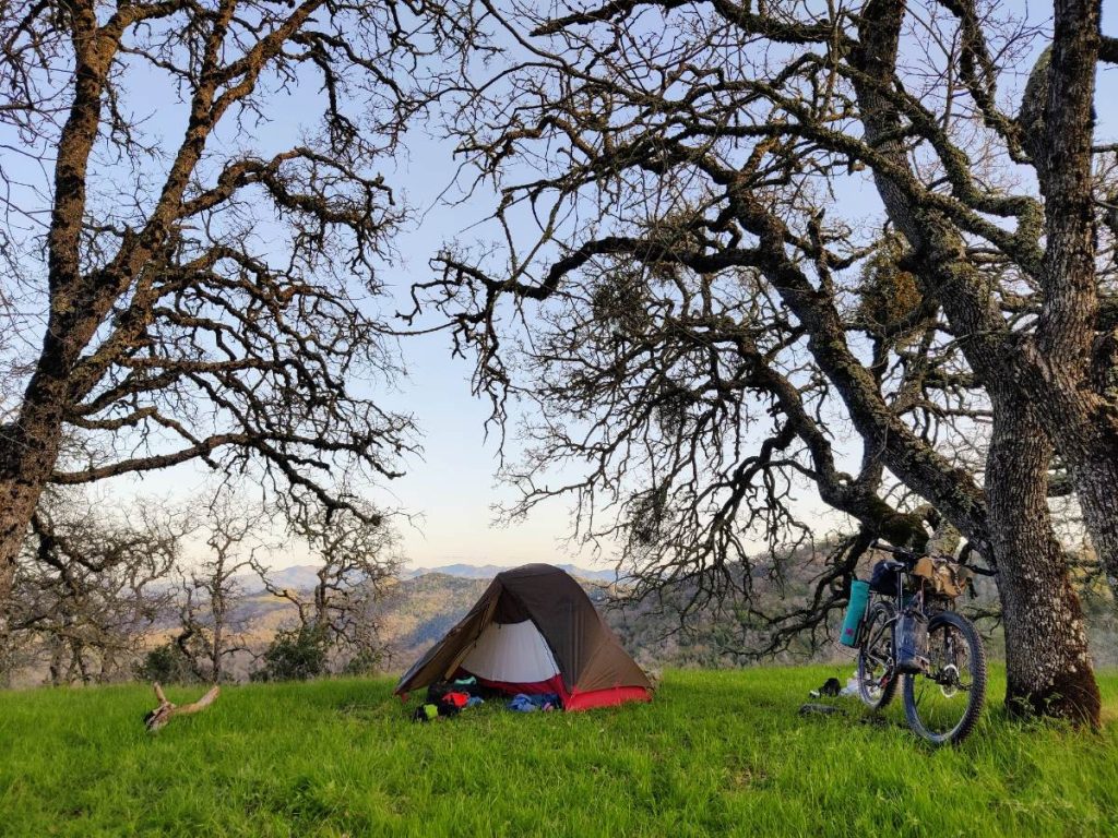 Grassy bikepacking campsite with solo tent and bike leaning against oak tree