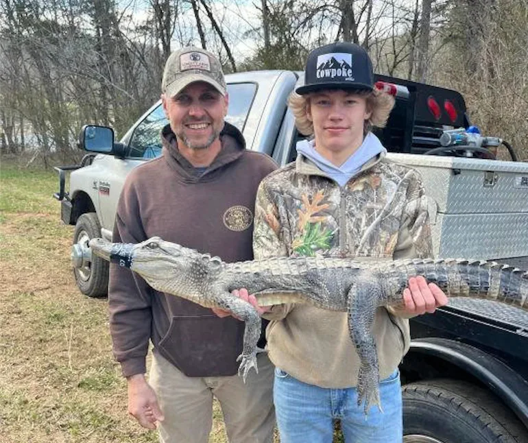 gator in Tennessee