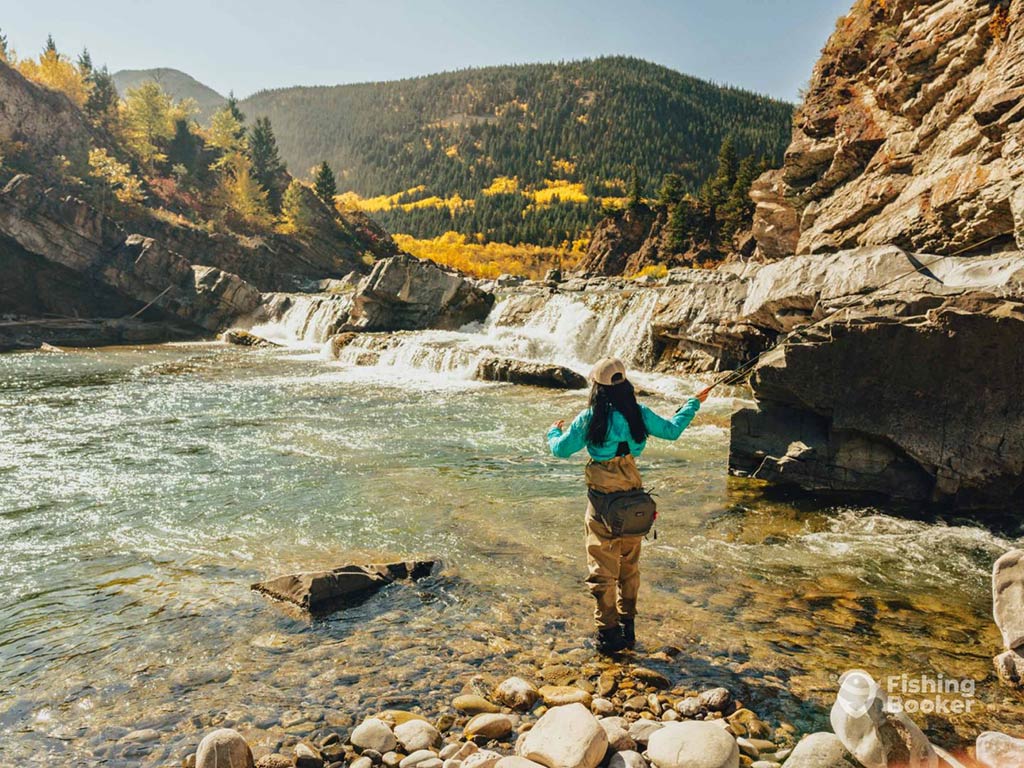 A female angler casts a fly from the rocky shore of a gushing river on a sunny day near a small waterfall and with pine trees dotted across a hill in the background