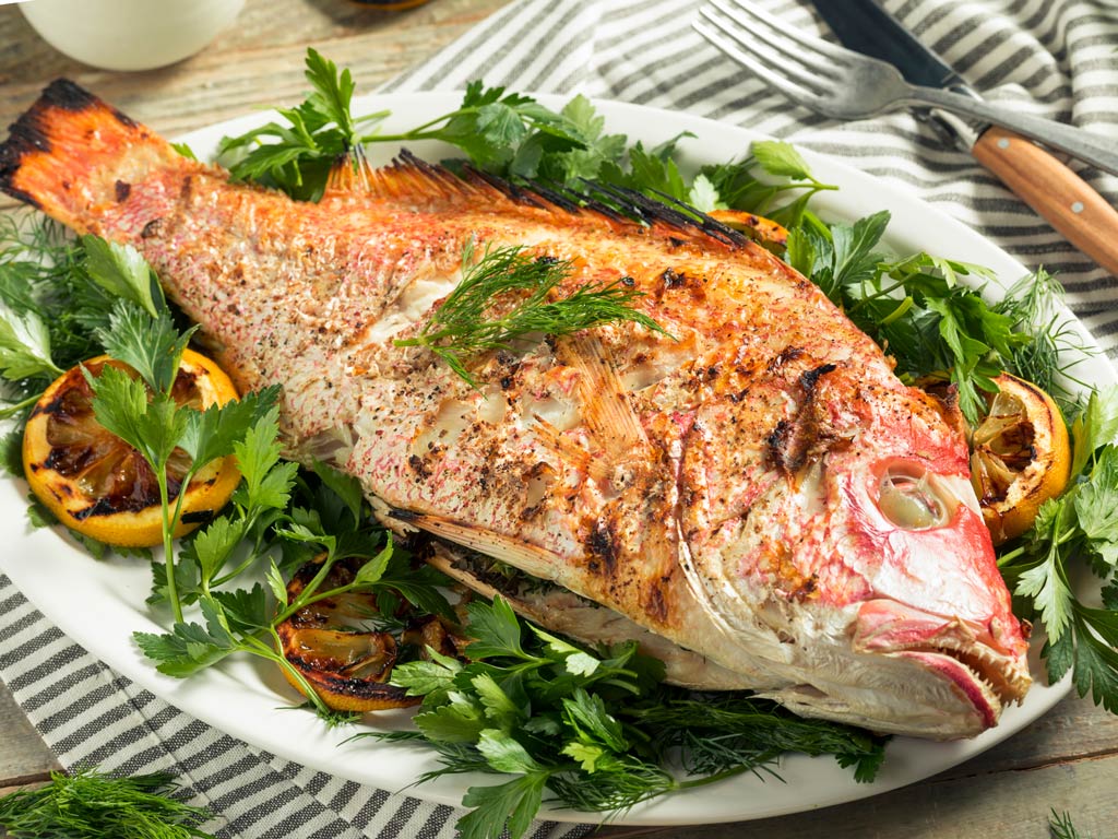 A photo of what may be a catch-and-cook blackened fish, most likely Red Snapper, served on a white plate with the salad and grilled lemons