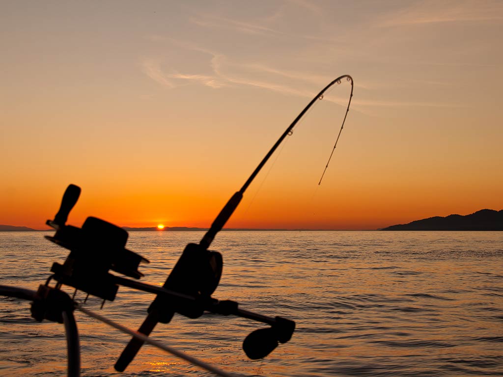 A view over the side of a fishing boat returning to Vancouver Island at sunset with the reel visible, while the line bends, emphasising the impressive drag of the reel