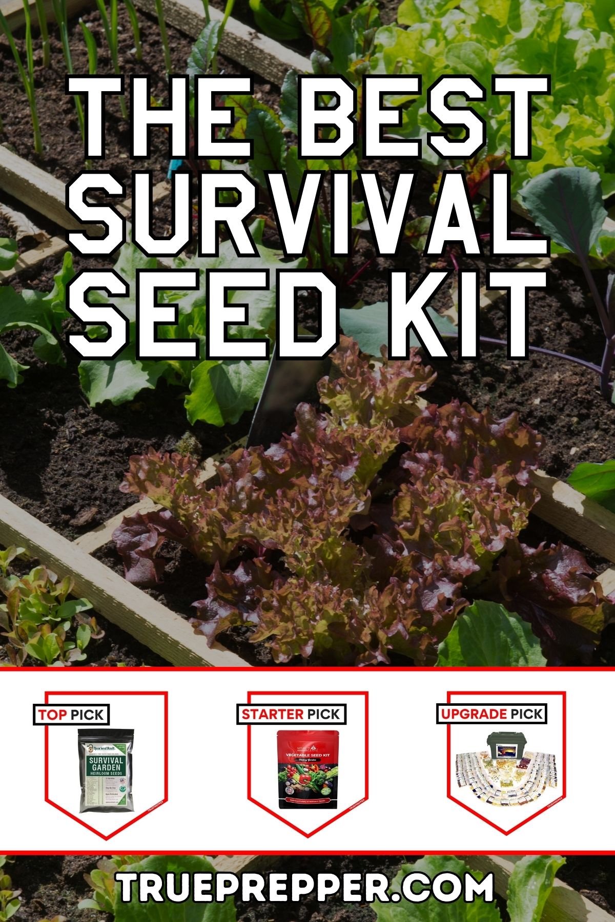The Best Survival Seed Kit