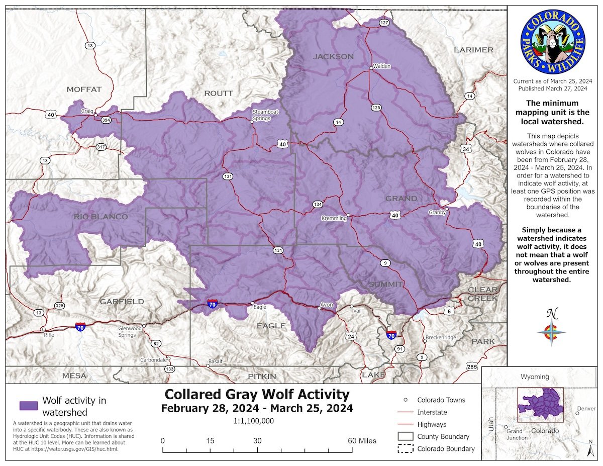 colorado gray wolf map