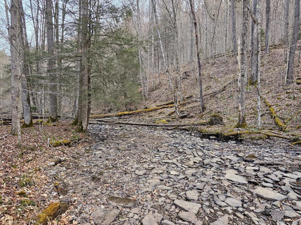 Laurel Fork Wilderness plane crash