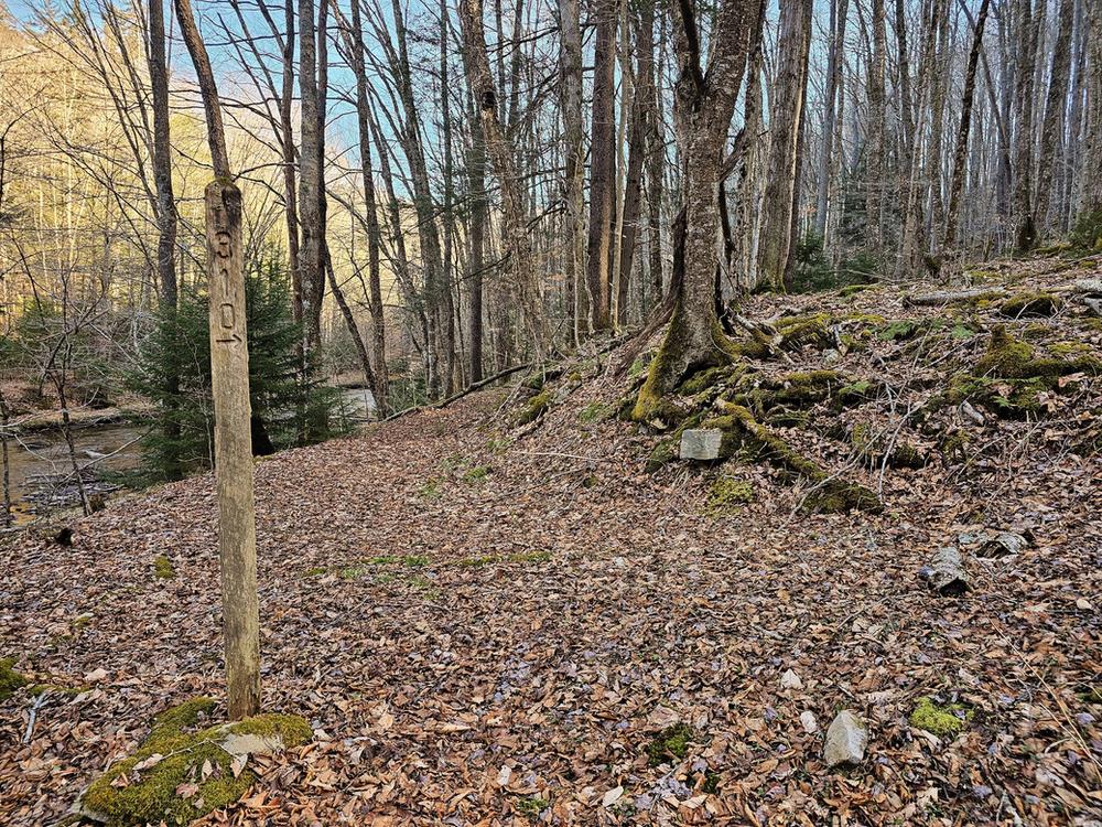 Laurel Fork Wilderness plane crash