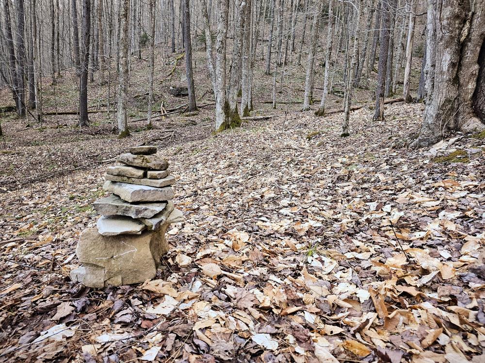 Laurel Fork Wilderness plane crash