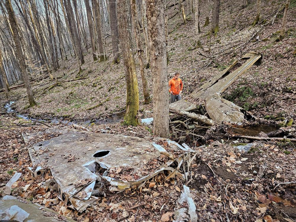 Laurel Fork Wilderness plane crash