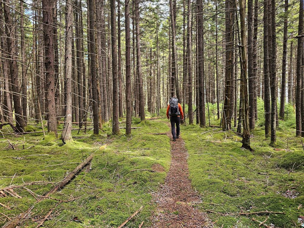 Cranberry Wilderness