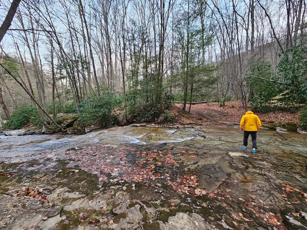 Cranberry Wilderness