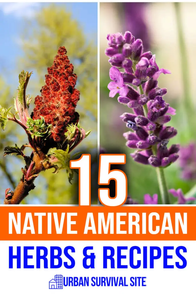 15 Native American Herbs & Recipes