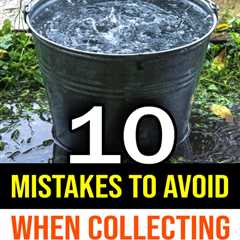 10 Mistakes To Avoid When Collecting Rainwater