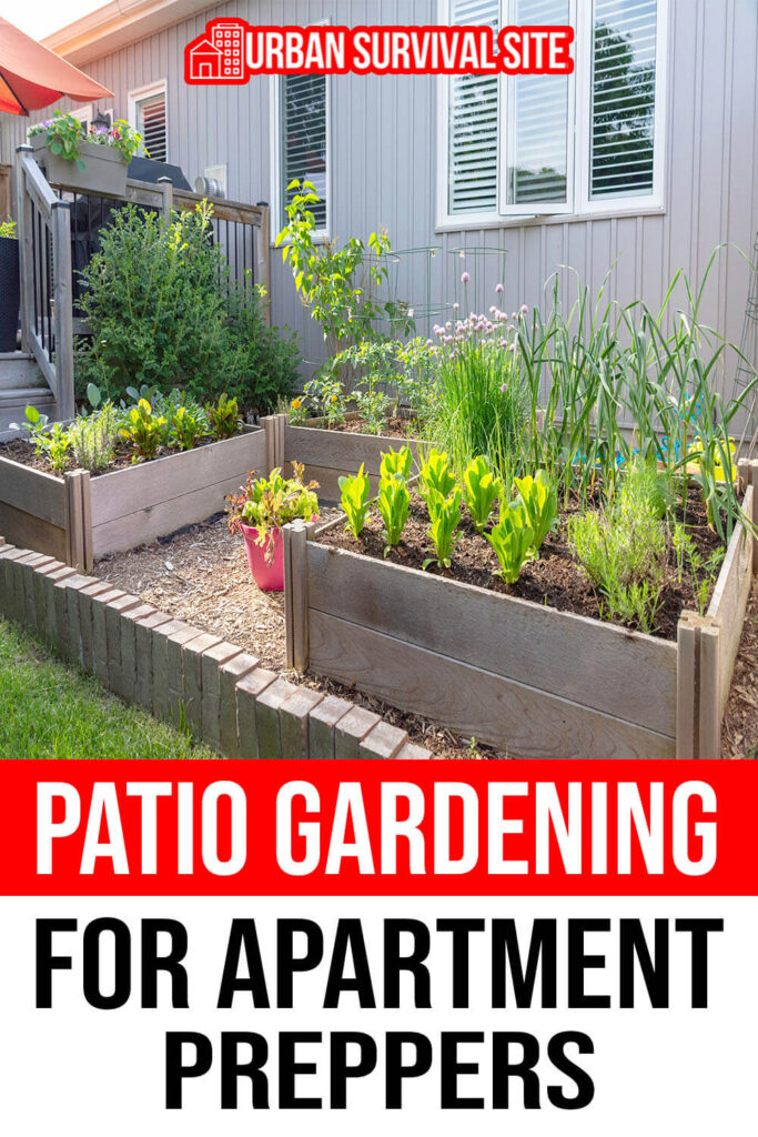 Patio Gardening for Apartment Preppers