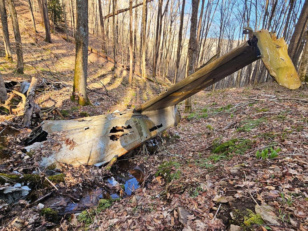 Laurel Fork Wilderness plane crash