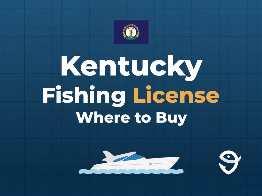 An infographic featuring the flag of Kentucky above text that says "Kentucky fishing licence, where to buy", along with an illustration of a boat underneath against a blue background