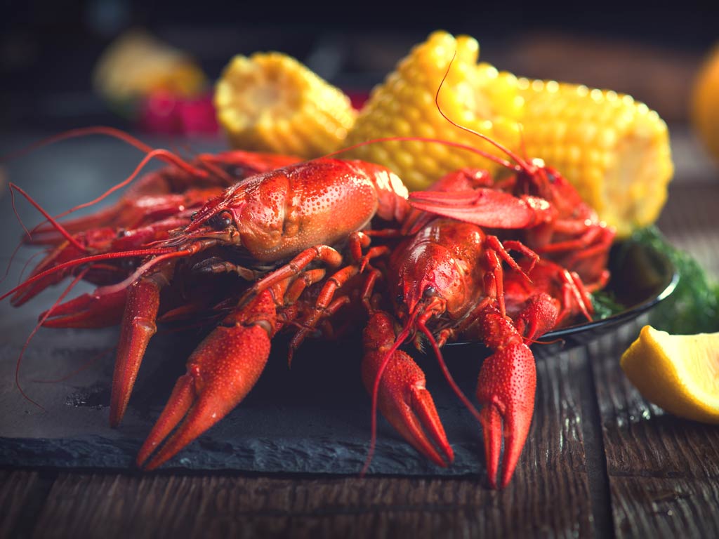 A photo featuring a southern specialty of a delicious Crawfish dish served with several corn cobs in a bowl