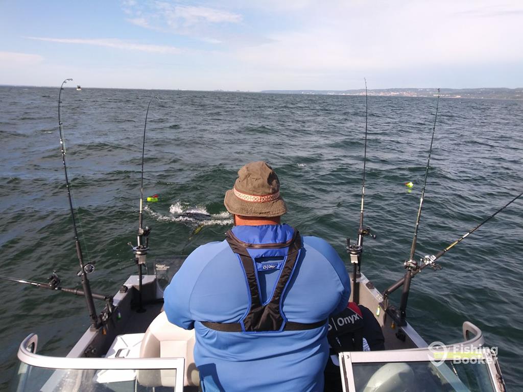 A view from behind of a man looking out the back of a fishing boat in Minnesota, with lines set up in the water for trolling on a bright day