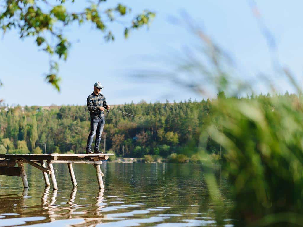 A view across the water from among the reeds of a lone angler standing on a boat on a lake, fishing for Bass on a sunny day