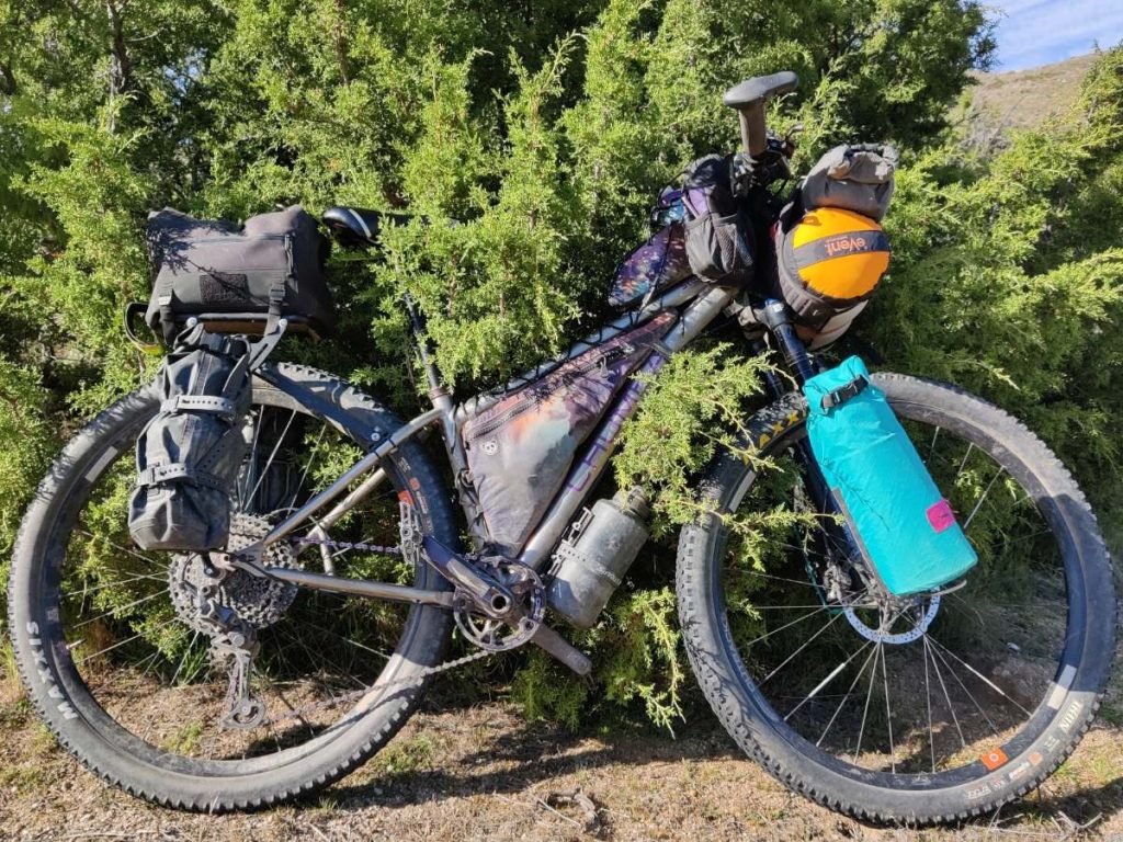 Loaded bikepacking bike leans against juniper shrub