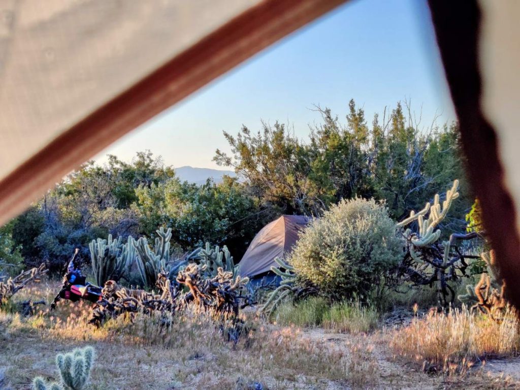 A bicycle and tent hidden amongst desert shrubs, with tent fabric in foreground