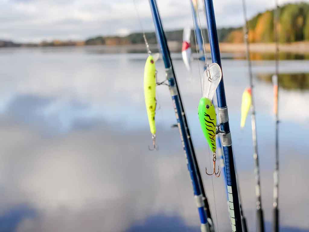 A closeup of four fishing rods with crankbaits hanging from them, set against a blurred, calm lake and some fall foliage visible in the distance