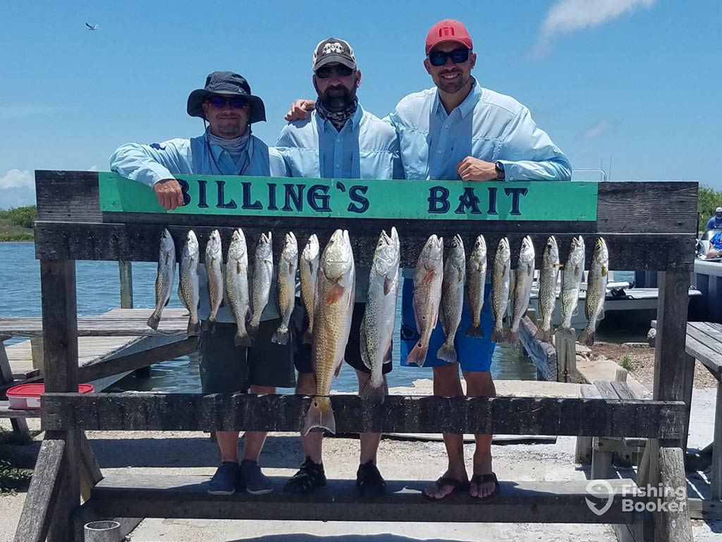 Three anglers pose behind a wooden board saying "Billing's Bait," displaying their catch of Redfish and Speckled Trout on a sunny day