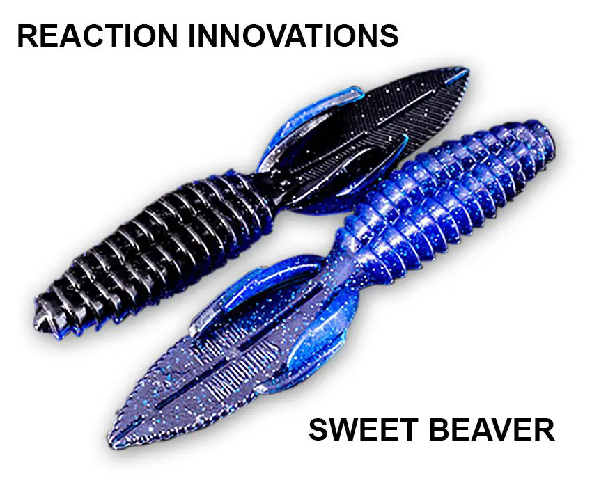 Sweet Beaver soft plastic bait