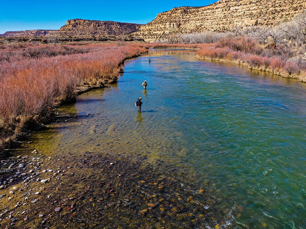 A group of anglers lined up in a clear river in New Mexico, fly fishing on a bright day