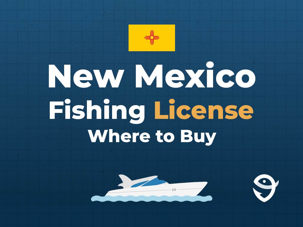 An infographic featuring the flag of New Mexico above text that says "New Mexico fishing licence, where to buy", along with an illustration of a boat underneath against a blue background
