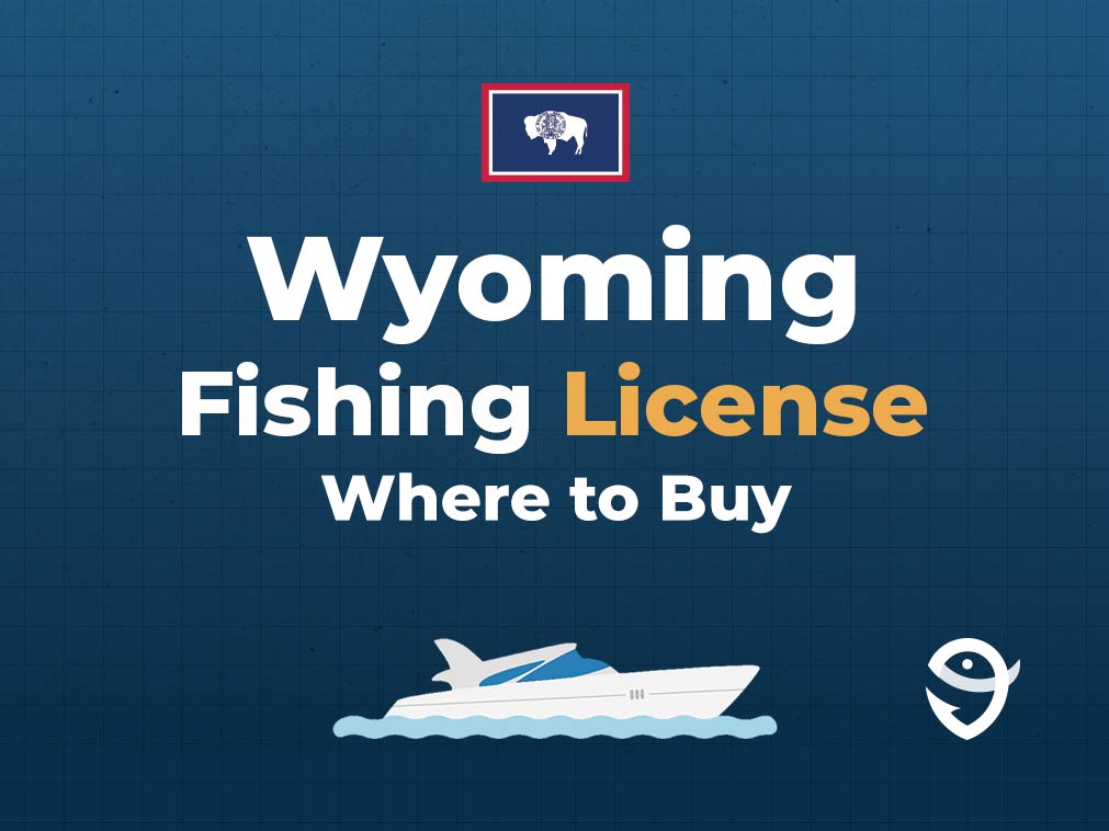 An infographic featuring the flag of Wyoming above text that says "Wyoming fishing licence, where to buy", along with an illustration of a boat underneath against a blue background