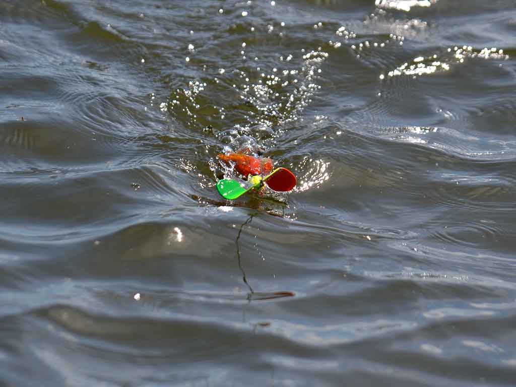 A red and green topwater lure being dragged across the water in an attempt to attract a fish on a bright day
