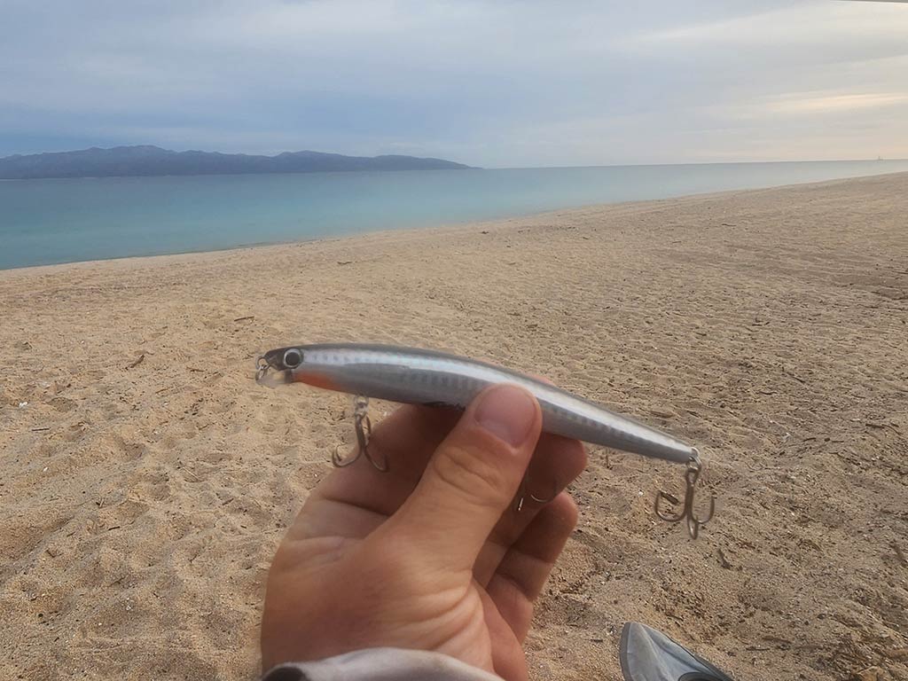 A closeup of a hand holding a thin-bodied jerkbait on a beach with the sea in the distance at sunset