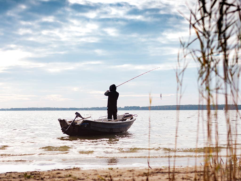 A view from among the reeds on the shore of a lake towards a man fishing from a boat, casting his rod from behind his head on a cloudy day