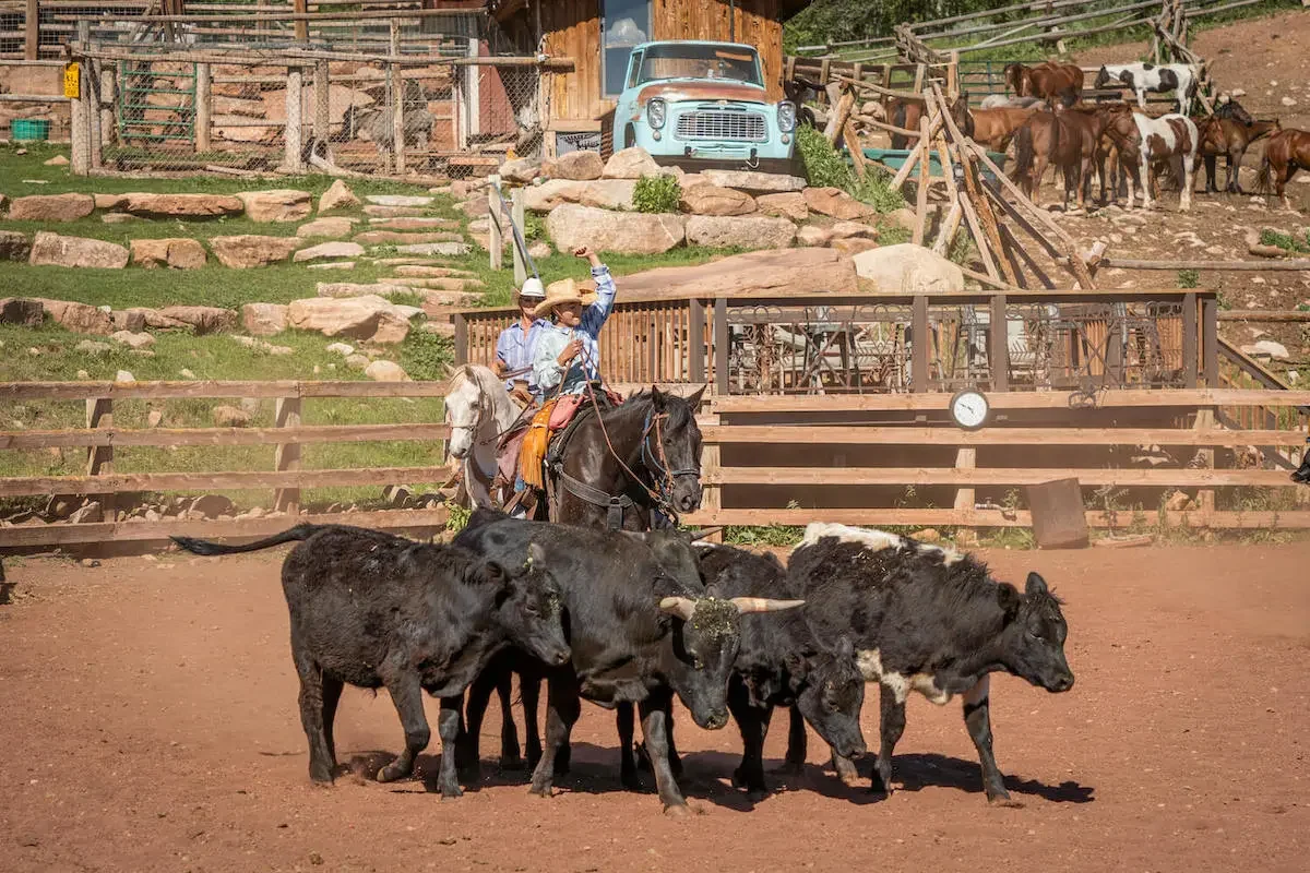 How to Live Out All Your Cowboy Dreams in Colorado 