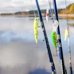 Freshwater Fishing Lures: A Beginner’s Guide for 2024