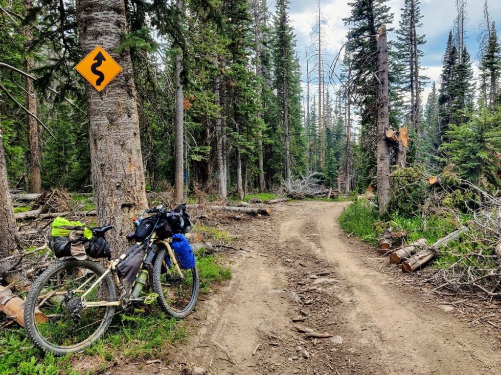 Bikepacking bike leans against tree with curve sign on dirt road through forest